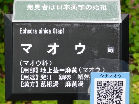 DSCN2060