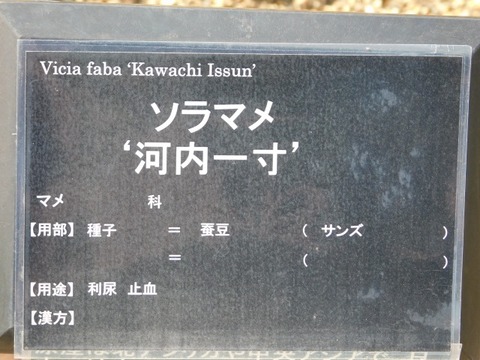 DSCN6317