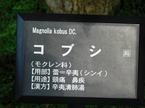 DSCN7292