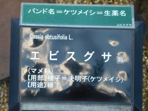 DSCN2206