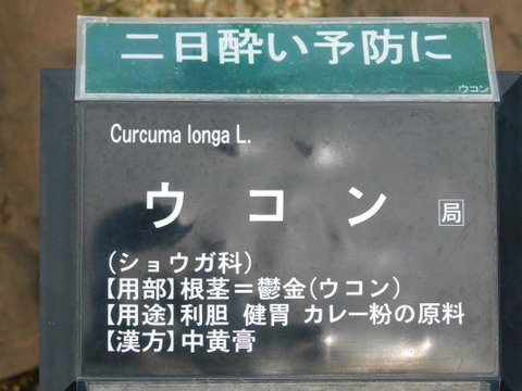 DSCN2314