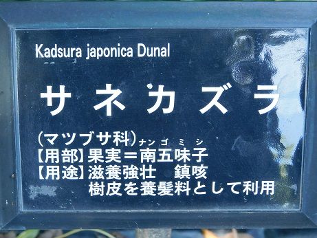 DSCN3436