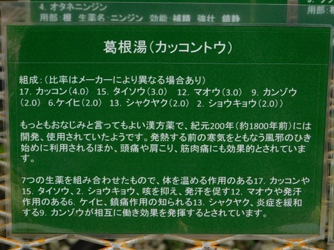 DSCN6890