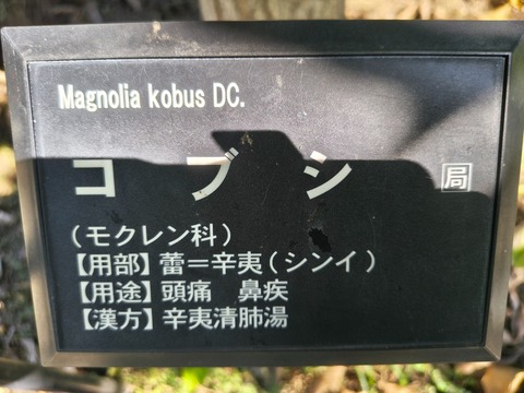IMG_20261008_134723088_HDR