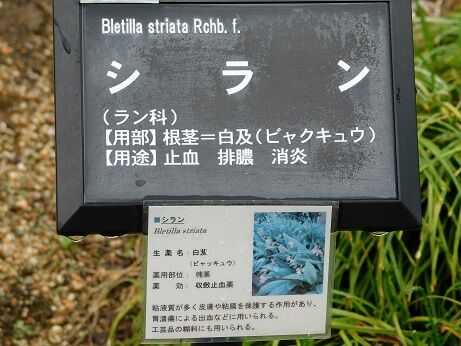 DSCN1454