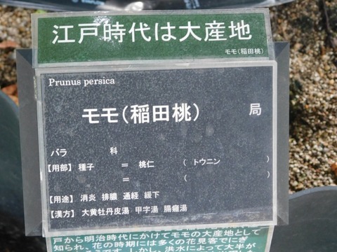 DSCN7361