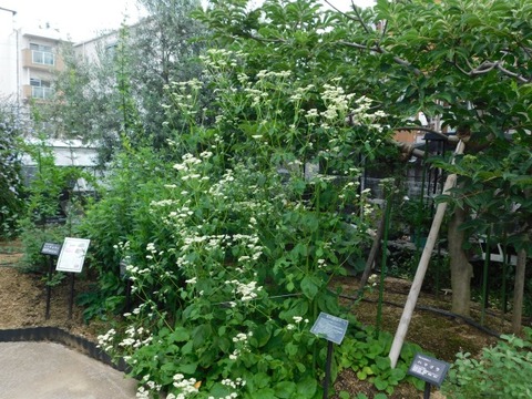 DSCN7093