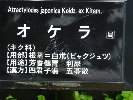 DSCN3773