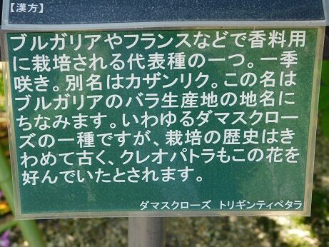 DSCN9372