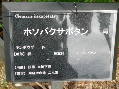 DSCN6852