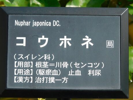 DSCN7872