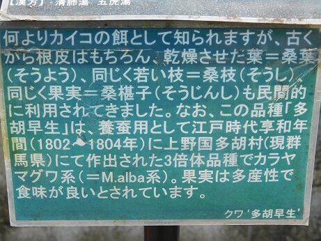 DSCN9327