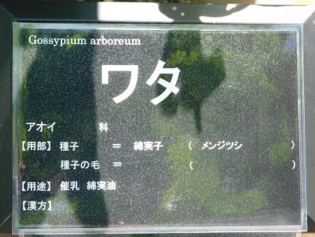 DSCN8468