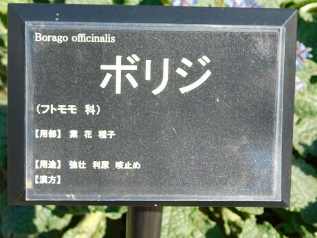 DSCN7201