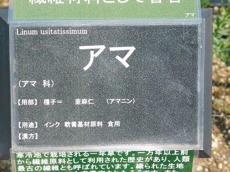 DSCN7147