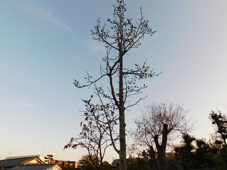 DSCN2254