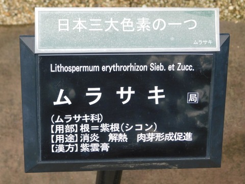 DSCN6850