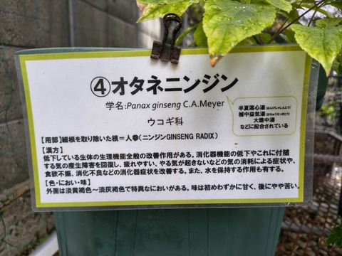 IMG_20260903_083121349_HDR