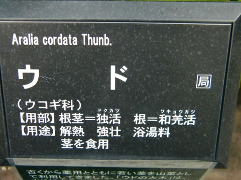 DSCN9886