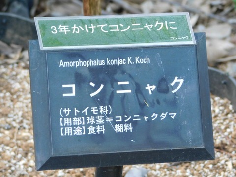DSCN3859