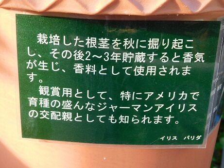 DSCN9323