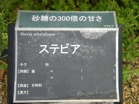 DSCN0015