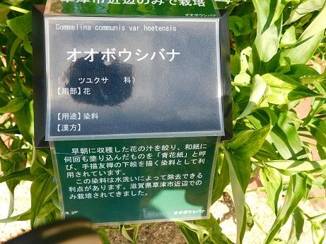 DSCN3426