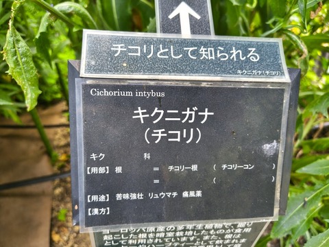 IMG_20260723_113009491_HDR