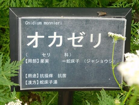 DSCN7820