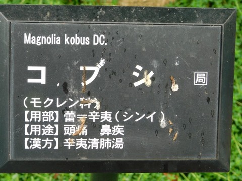 DSCN2305
