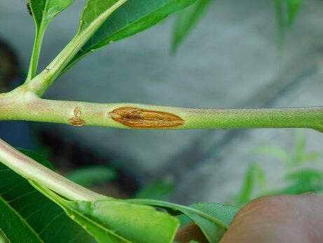 図15