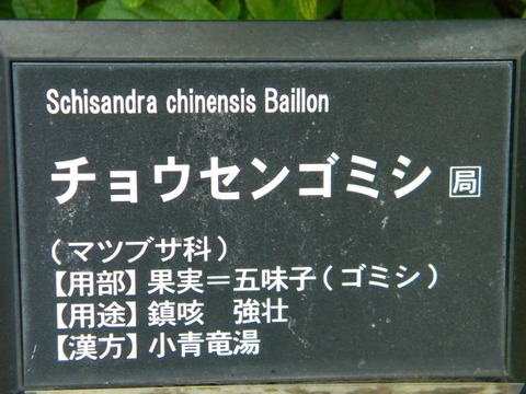 DSCN8958 - コピー