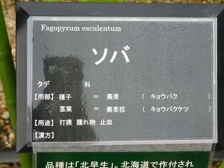 DSCN9448