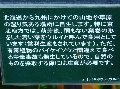 DSCN2376
