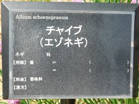 DSCN3891