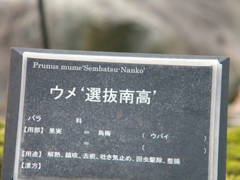 DSCN8436