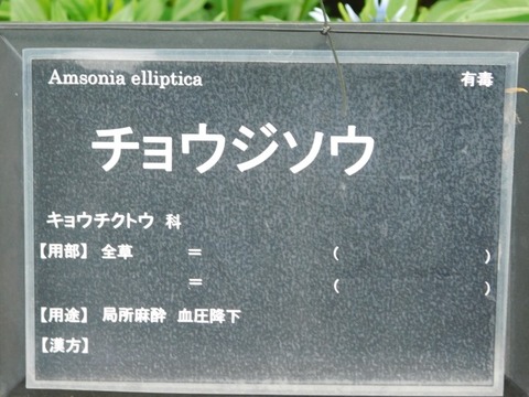 DSCN6536