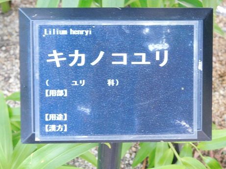 DSCN3304