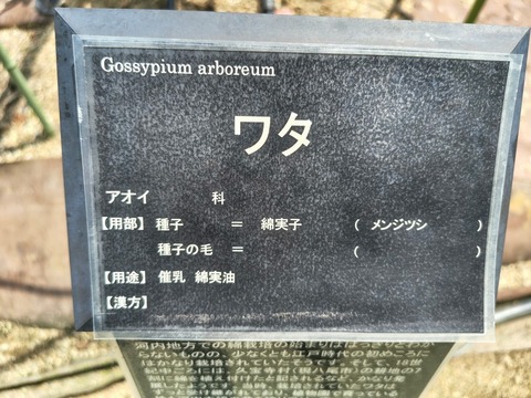 IMG_20260820_115436627_HDR
