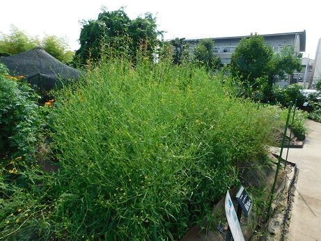 DSCN0148