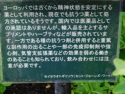 DSCN4362