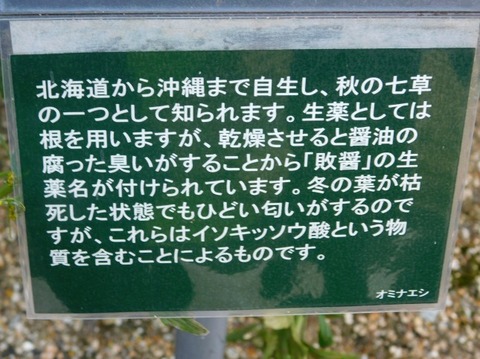 DSCN2386