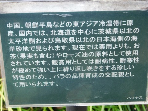 DSCN7001
