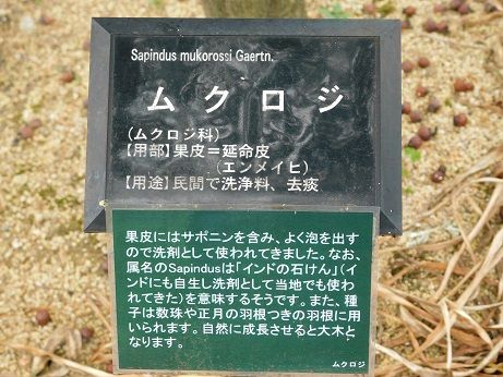 DSCN3208