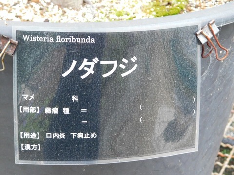 DSCN3741