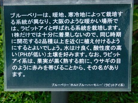DSCN9874