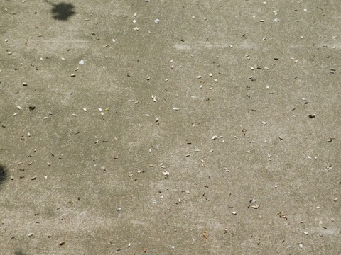 DSCN2759