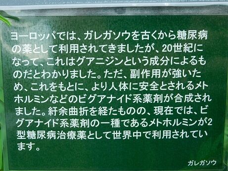 DSCN9976