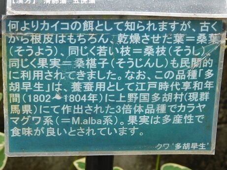 DSCN9583