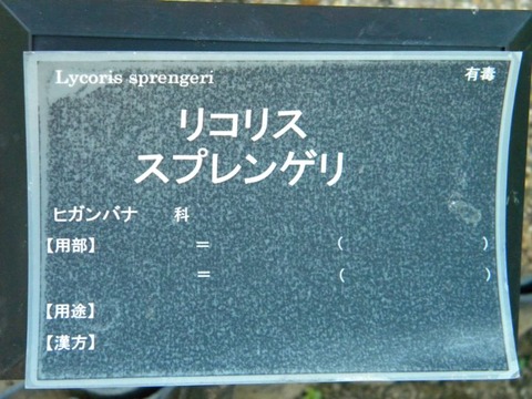 DSCN9841